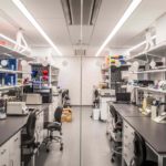 New York City: a New Hub for Stem Cell Research