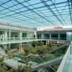 Scientists Identify Molecule That May Help Aid Kidney Repair Scientists Identify Molecule That May Help Aid Kidney Repair