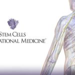 Study Is First to Indicate Impact of Donor Age on Stem Cell Therapy for Spinal Cord Injuries Study Is First to Indicate Impact of Donor Age on Stem Cell Therapy for Spinal Cord Injuries