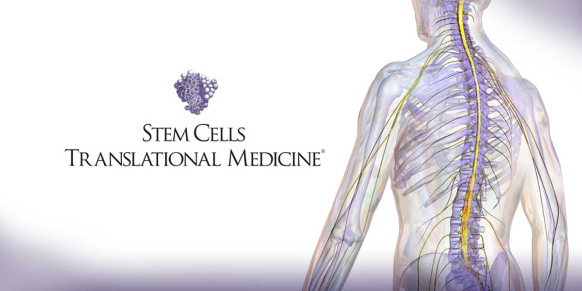 Study Is First to Indicate Impact of Donor Age on Stem Cell Therapy for Spinal Cord Injuries