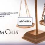 Study shows Mesenchymal Stromal Cells importance of tissue origin in predicting function Study shows Mesenchymal Stromal Cells importance of tissue origin in predicting function