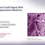 New Protocol Could Signal Shift in Bone Regenerative Medicine New Protocol Could Signal Shift in Bone Regenerative Medicine