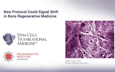 New Protocol Could Signal Shift in Bone Regenerative Medicine