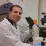 Mohamad Khazaei’s Research in Spinal Cord Injury Earns Him Young Investigator Award