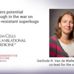 Study offers potential breakthrough in the war on antibiotic-resistant superbugs