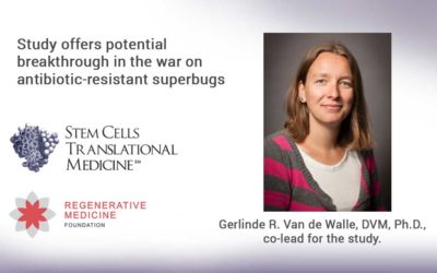 Study offers potential breakthrough in the war on antibiotic-resistant superbugs