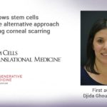 Study shows stem cells constitute alternative approach for treating corneal scarring