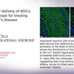 Intranasal delivery of MSCs provides hope for treating Alzheimer’s disease