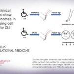 Mid-term clinical trial results show similar outcomes in two promising cell therapies for CLI Mid-term clinical trial results show similar outcomes in two promising cell therapies for CLI