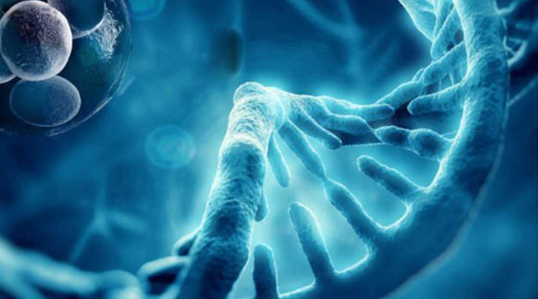 New institute to leverage experts to advance regenerative medicine