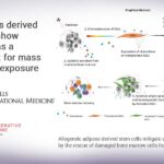 Stem cells derived from fat show promise as a treatment for mass radiation exposure Stem cells derived from fat show promise as a treatment for mass radiation exposure