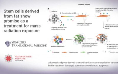 Stem cells derived from fat show promise as a treatment for mass radiation exposure