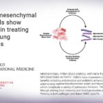 Human mesenchymal stem cells show promise in treating chronic lung infections Human mesenchymal stem cells show promise in treating chronic lung infections