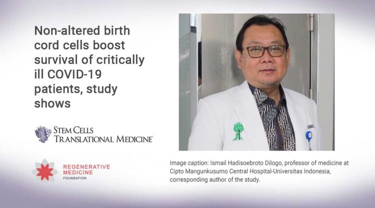 Non-altered birth cord cells boost survival of critically ill COVID-19 patients, study shows