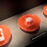 The Dawn Of A New Era Of Regenerative Medicine: Tissue Engineering Comes Of Age The Dawn Of A New Era Of Regenerative Medicine: Tissue Engineering Comes Of Age