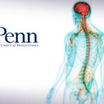 Nerve Repair with Help From Stem Cells Nerve Repair with Help From Stem Cells