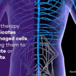 New therapy harnesses “dancing molecules” to reverse paralysis, repair tissue after spinal cord injuries New therapy harnesses “dancing molecules” to reverse paralysis, repair tissue after spinal cord injuries