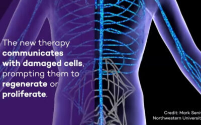 New therapy harnesses “dancing molecules” to reverse paralysis, repair tissue after spinal cord injuries