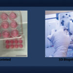 “World’s first” 3D printed immunized skin model enables cold plasma wound healing treatment for burns “World’s first” 3D printed immunized skin model enables cold plasma wound healing treatment for burns