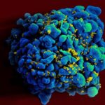 Experimental mRNA HIV Vaccine Safe, Shows Promise in Animals Experimental mRNA HIV Vaccine Safe, Shows Promise in Animals