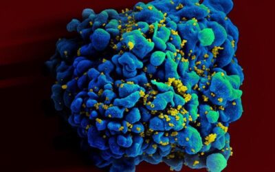 Experimental mRNA HIV Vaccine Safe, Shows Promise in Animals