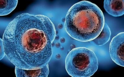 Reimagining stem cell cultivation