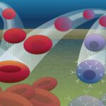 Blending machine learning and biology to predict cell fates and other changes Blending machine learning and biology to predict cell fates and other changes