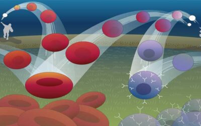 Blending machine learning and biology to predict cell fates and other changes