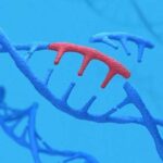 ‘The last piece’: Scientists in Japan hail new stem cells as step toward artificial life ‘The last piece’: Scientists in Japan hail new stem cells as step toward artificial life