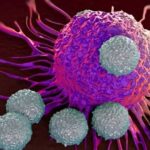 New approach to CAR T-cell therapy for B-cell cancers triples the targeted antigens on cancer cells