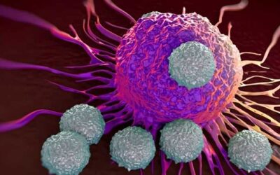 New approach to CAR T-cell therapy for B-cell cancers triples the targeted antigens on cancer cells