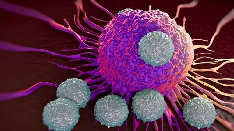 New approach to CAR T-cell therapy for B-cell cancers triples the targeted antigens on cancer cells