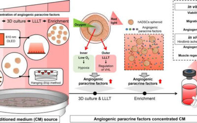 Increasing angiogenic efficacy of conditioned medium using light stimulation of human adipose-derived stem cells