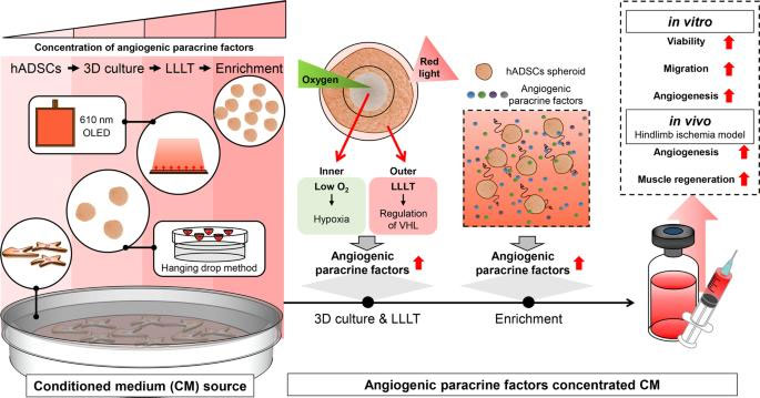 Increasing angiogenic efficacy of conditioned medium using light stimulation of human adipose-derived stem cells