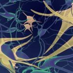 How regenerative medicine is advancing ALS research How regenerative medicine is advancing ALS research