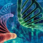 Scientists Receive .8M to Pursue Gene Therapy for ‘Incurable’ Disease