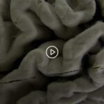 Scientists make key discovery in fighting brain diseases Scientists make key discovery in fighting brain diseases