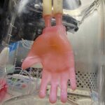 Engineering skin grafts for complex body parts