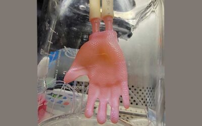 Engineering skin grafts for complex body parts