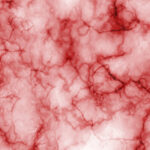 M grant allows milestone in regenerative medicine using blood vessels M grant allows milestone in regenerative medicine using blood vessels