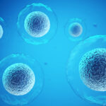 Modified neural stem cells for spinal cord injury Modified neural stem cells for spinal cord injury