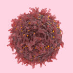 Bioengineered instrument reveals hidden cancer cells Bioengineered instrument reveals hidden cancer cells