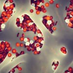 How hematopoietic stem cells retain their regenerative potential