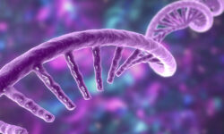 Huntington-Disease-Gene-Therapy-Nets-RMAT-Designation