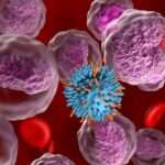 New therapy shows promise in strengthening CAR-T responses New therapy shows promise in strengthening CAR-T responses